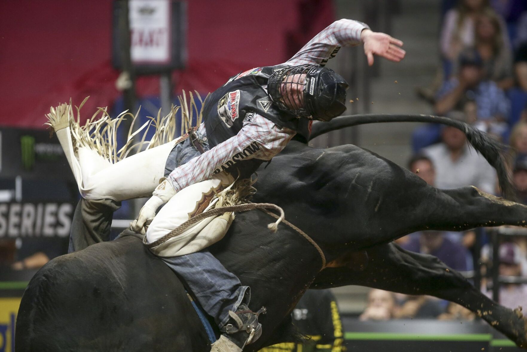 PBR Unleash The Beast